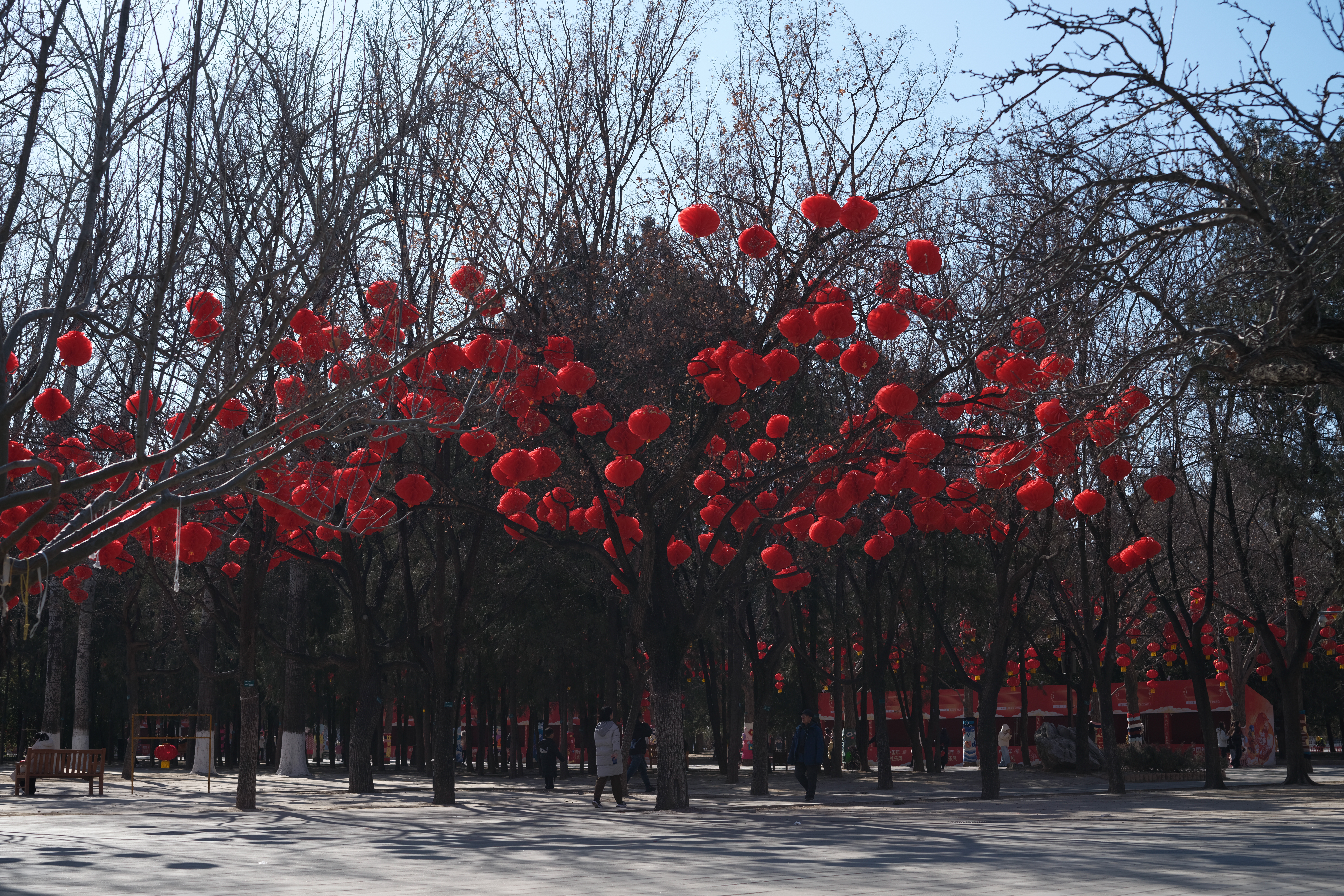 2026.02.11 地坛公园