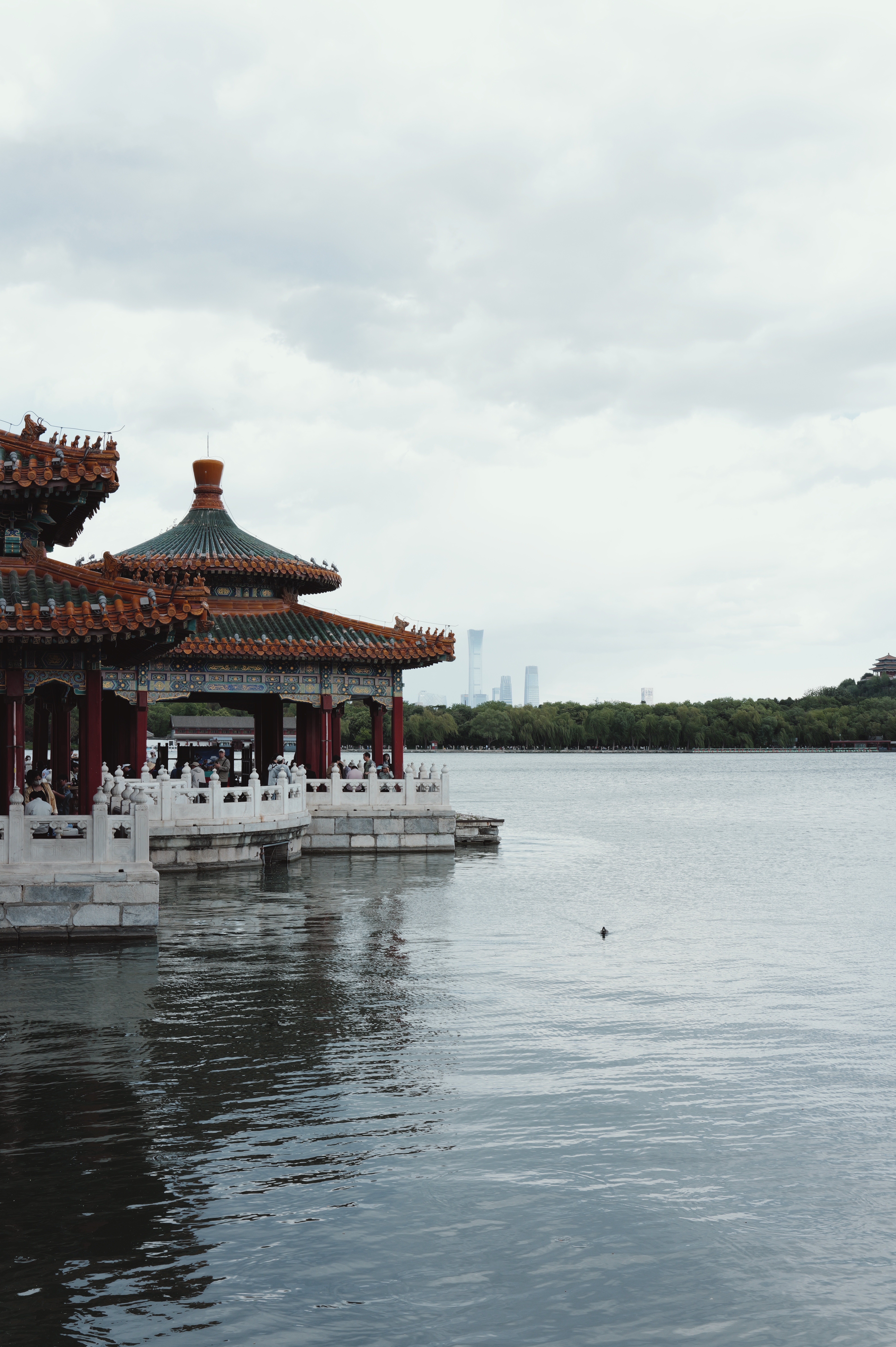 L1000464.jpg