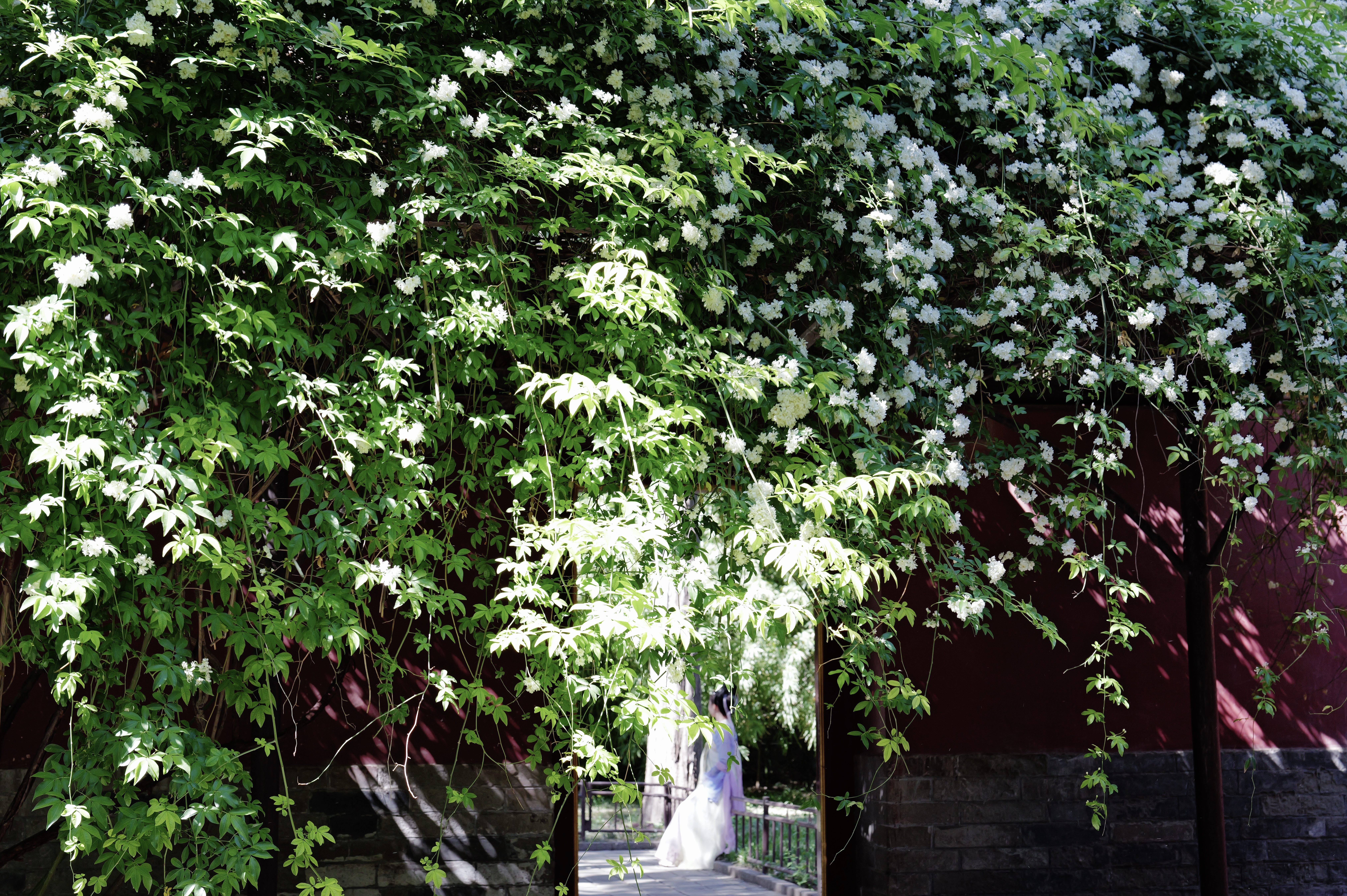 L1000474.jpg