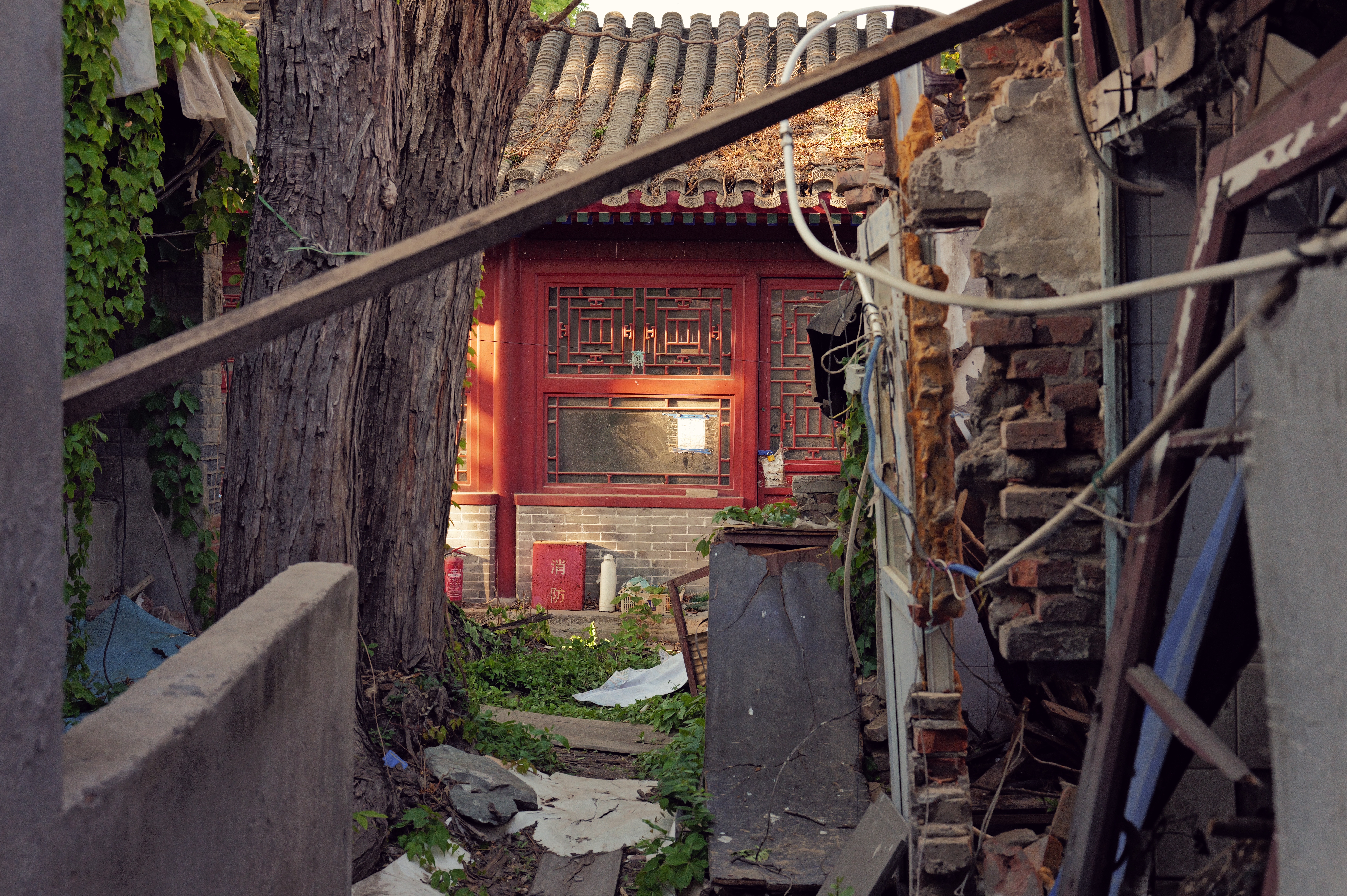 L1000520.jpg