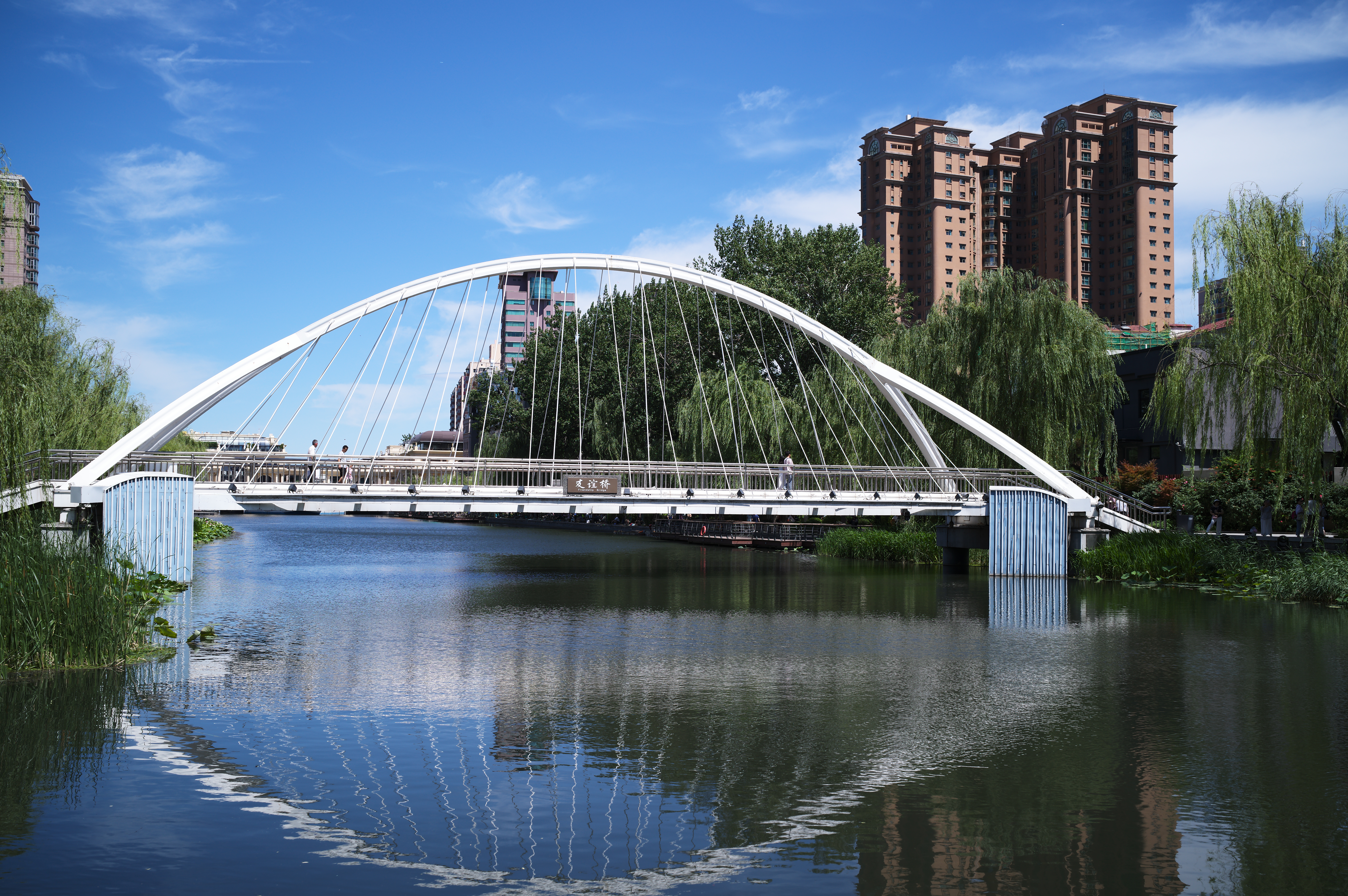 L1002054.JPG