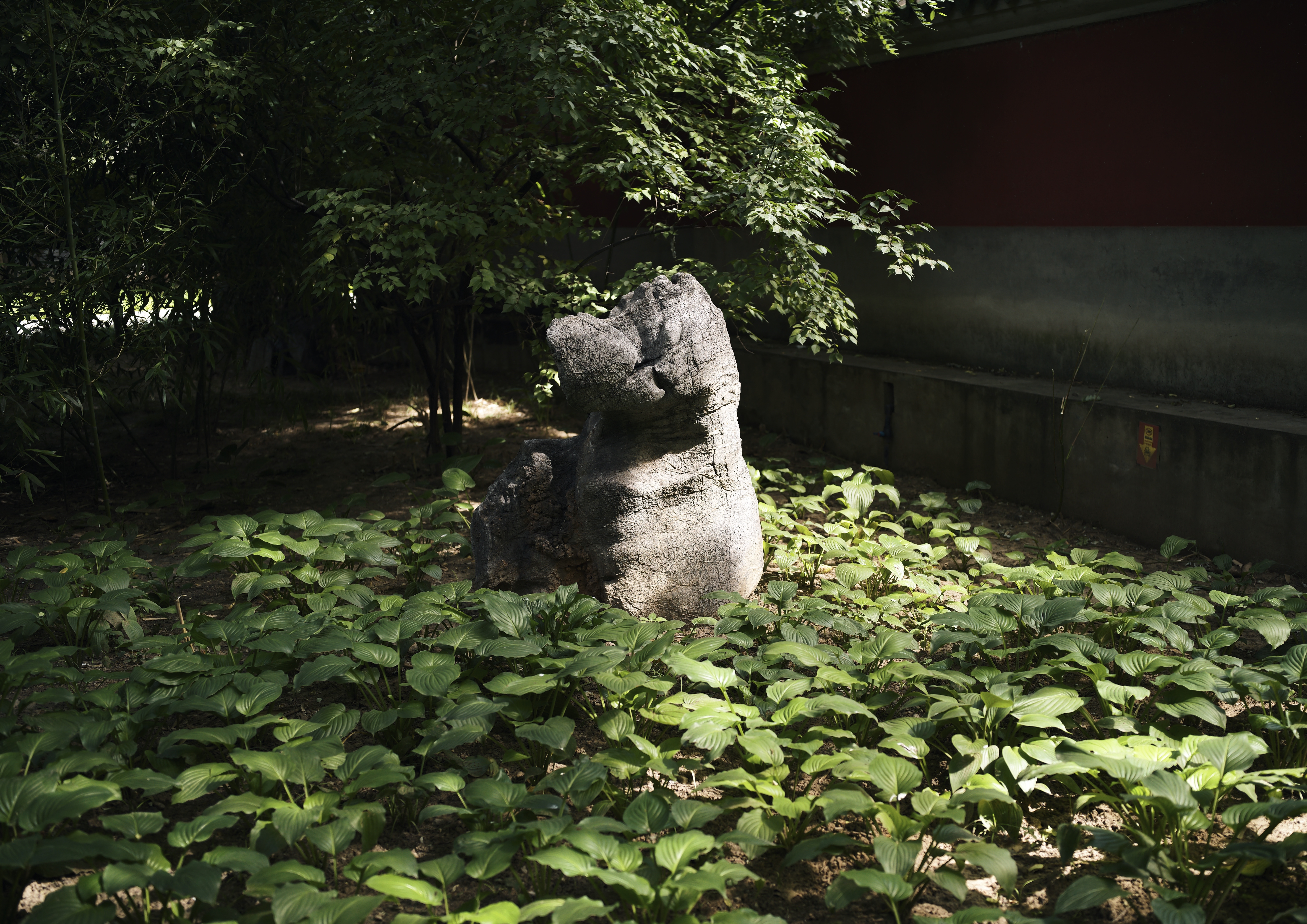 L1002115.jpg
