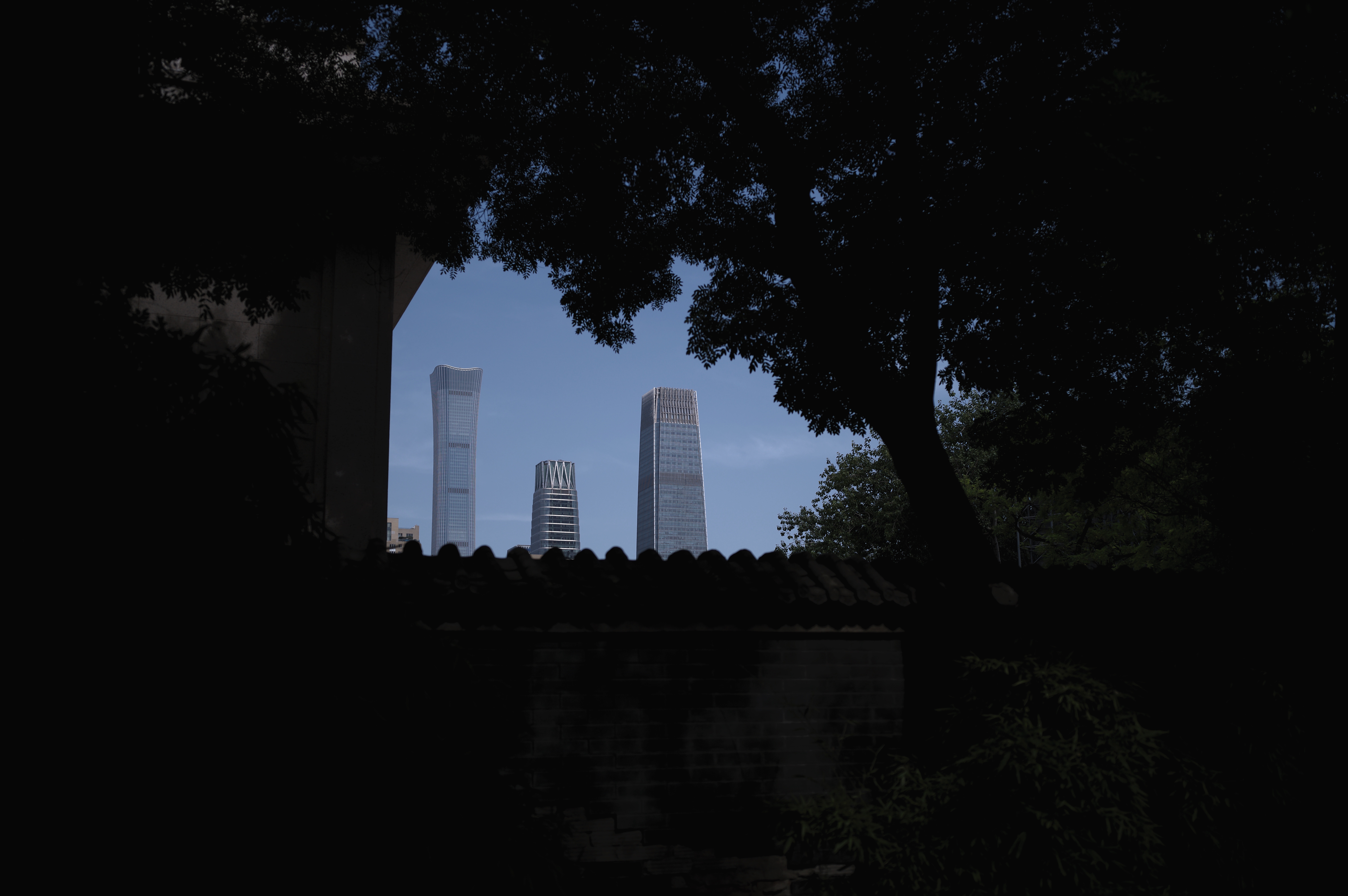 L1002116.jpg