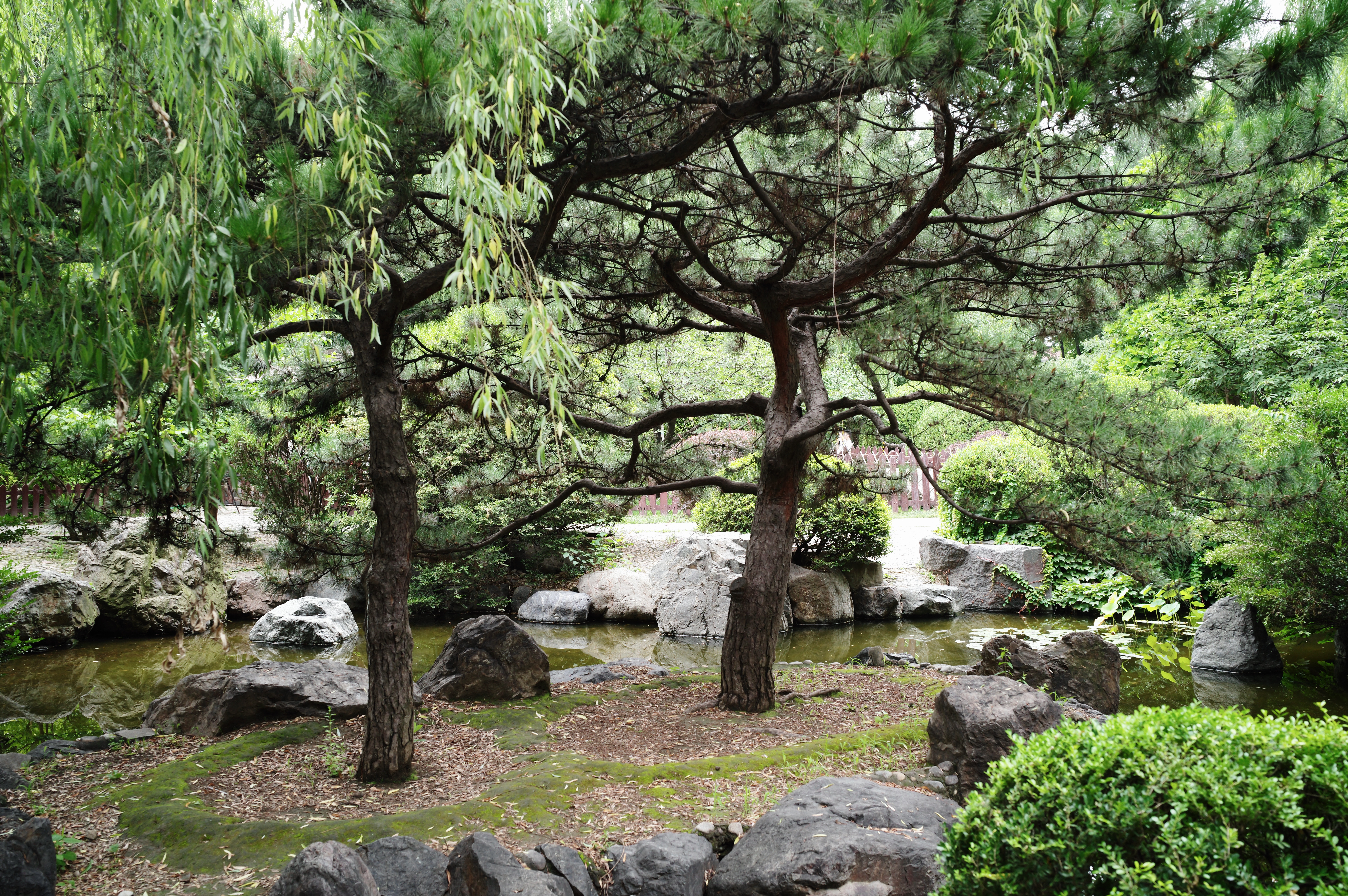 L1002152.jpg