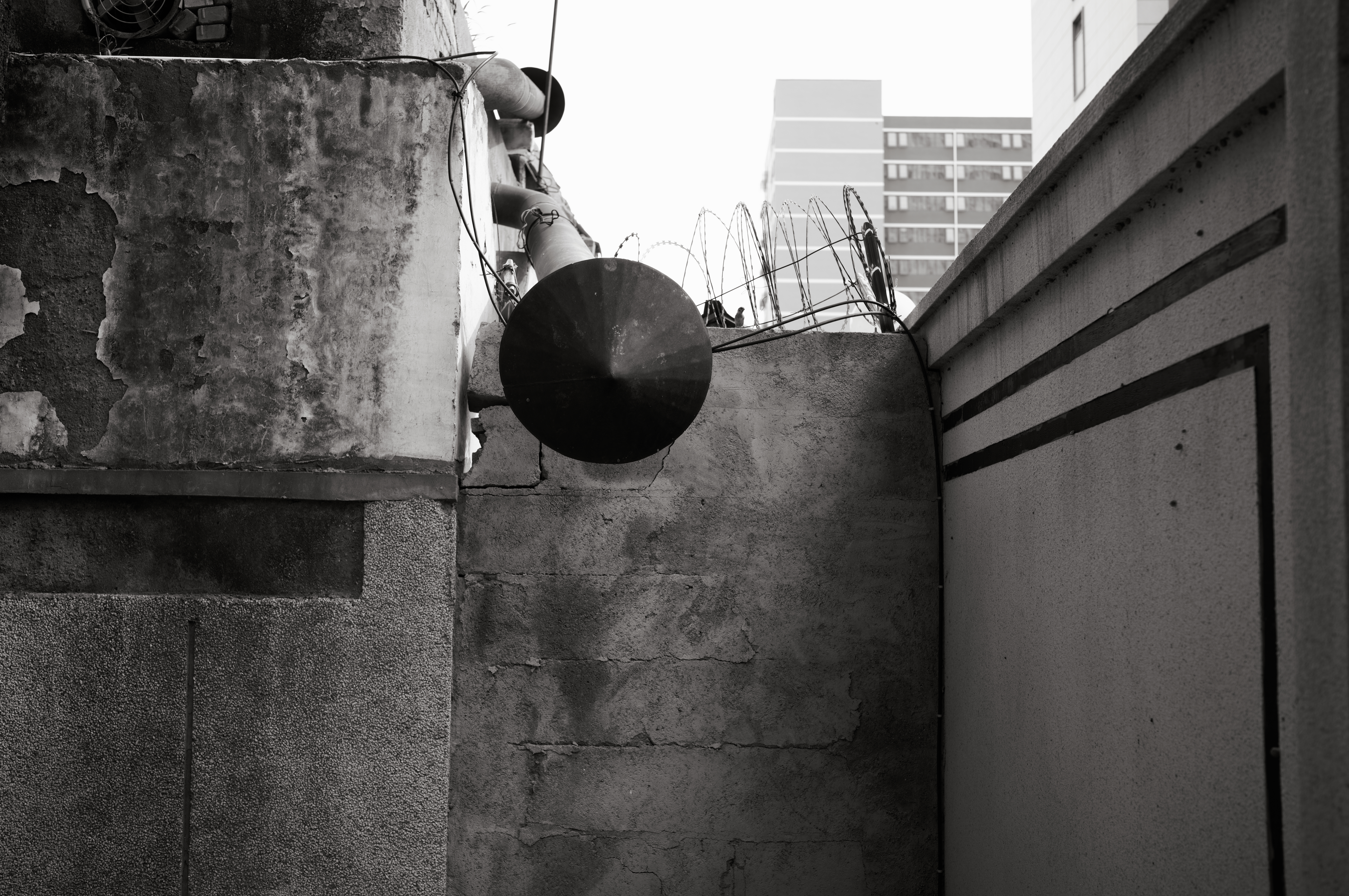 L1002288.JPG