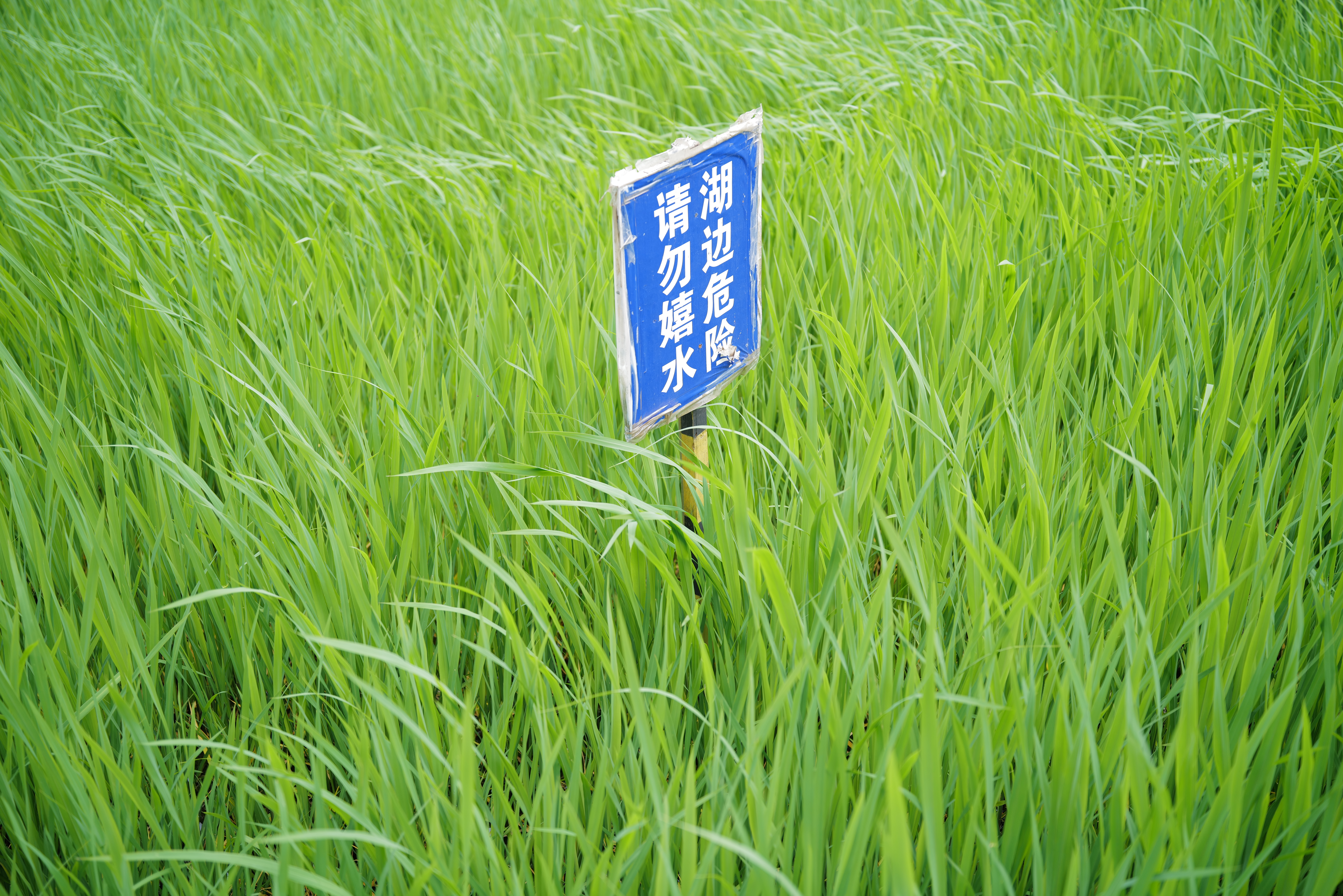L1020303.JPG