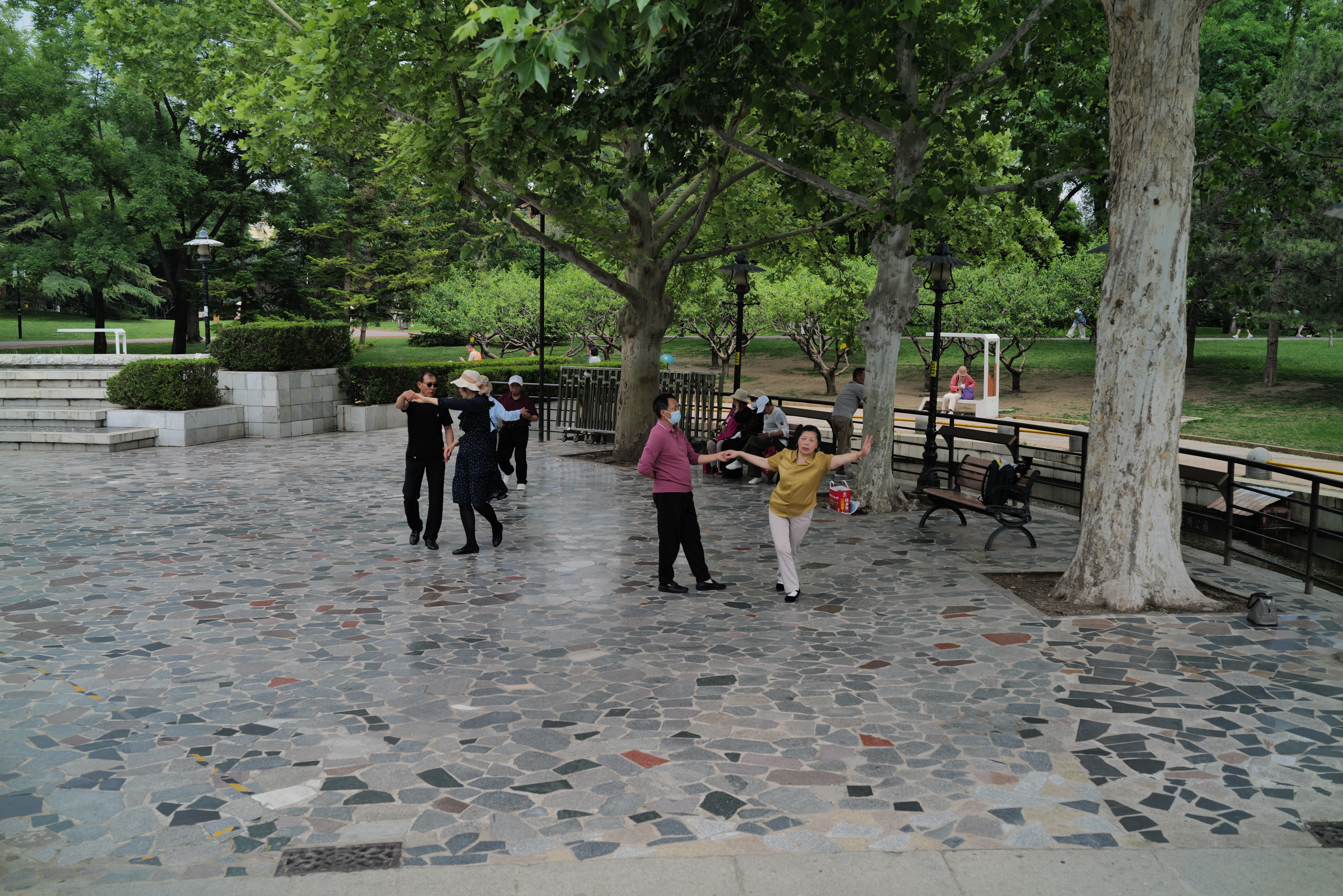 L1020307.JPG