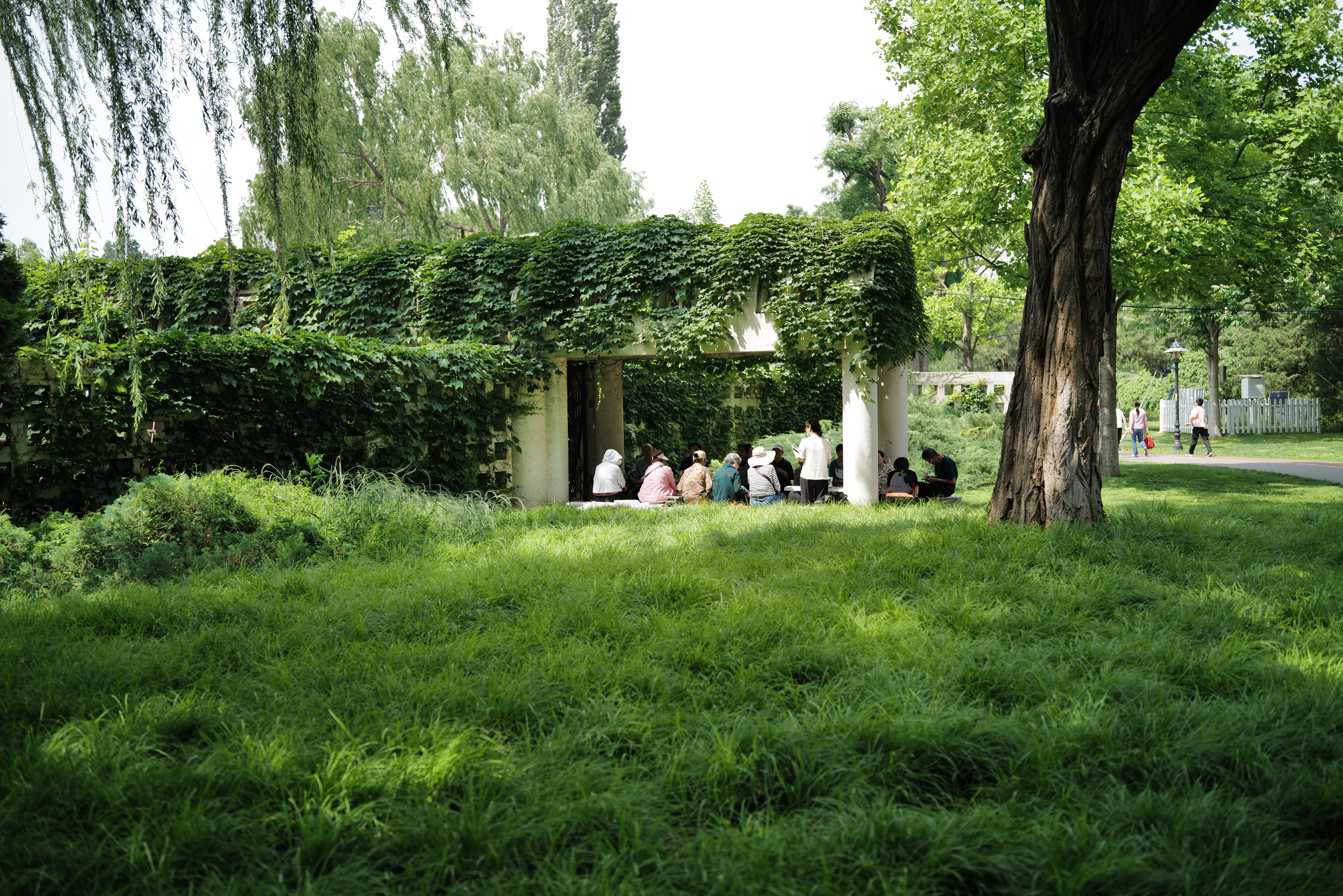 L1020318.JPG